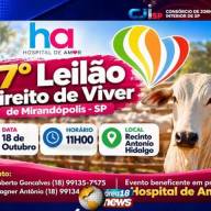 Mirandópolis realiza 17º Leilão Direito de Viver em prol do Hospital de Amor neste domingo (18)