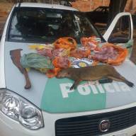 Passaredo remaneja linha e deixa de operar em Três Lagoas