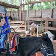 Em Três Lagoas mais de 3 mil mulheres aguardam por exame de mamografia