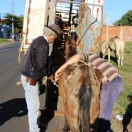 Polícia Civil de Fernandópolis quer saber se Santa Casa de Andradina tem ou não gestão compartilhada com a Santa Casa de Fernandópolis