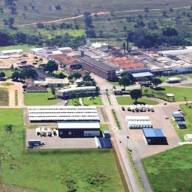 Despachantes são presos em operação da Polícia Civil de Ilha Solteira que investiga transferência de pontos e renovação ilícitas de CNH