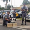 “Operação Sufoco” TOR prende mulher de 25 anos com 15 tijolos de maconha em Araçatuba