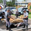 Motoboy que levou droga da zona rural de Castilho é preso em Araçatuba pelas Policias Federal e Rodoviária