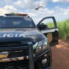 Gado furtado em Sud Mennucci é localizado pela Polícia Civil em Araçatuba