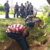 Polícia Militar Ambiental surpreende 52 indivíduos praticando a briga de galo em assentamento de Araçatuba