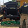 Polícia Rodoviária Federal apreende 145 Kg de maconha, skunk e uma pistola em Três Lagoas