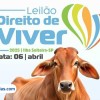 EM ILHA SOLTEIRA 15º LEILÃO “DIREITO DE VIVER” SERÁ REALIZADO EM ABRIL; GRUPO JÁ BUSCA DOAÇÕES