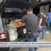 Polícia Civil de SP cumpre mandados contra produção e venda ilegal de anabolizantes em Rio Preto