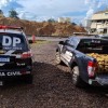 Polícia Civil incinera 356 kg de drogas em Três Lagoas