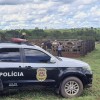 Polícia Civil de Santo Antônio do Aracanguá recupera 57 cabeças de gado furtadas de uma fazenda