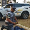 OPERAÇÃO IMPACTO POLÍCIA RODOVIÁRIA PRENDE TRAFICANTE DE DROGAS EM RODOVIA DE ARAÇATUBA