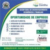 Oportunidade de emprego: Desenvolvimento Econômico de Castilho atrai empresa com oferta de 500 empregos