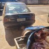 POLÍCIA CIVIL E IAGRO APREENDEM QUASE DUAS TONELADAS DE CARNE IMPRÓPRIA PARA CONSUMO EM SELVÍRIA