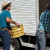 Andradina marca presença em Feira Nacional