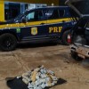 Polícia Rodoviária Federal de Água Clara apreende 42 Kg de haxixe