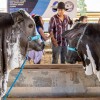 1º dia da EXPOTRÊS é marcado por programação técnica recheada em Três Lagoas