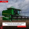 SIRAN DE ARAÇATUBA: Melhora a produtividade na plantação de soja em Guararapes