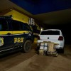 Polícia Rodoviária Federal de Três Lagoas apreende 95 Kg de maconha na rodovia federal BR 158