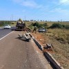 Motorista de Murutinga do Sul morre ao tentar desviar de vacas e capotar na rodovia BR 262 em Campo Grande