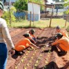 Curso em horticultura qualifica reeducandas de Três Lagoas