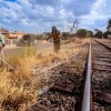 Ferrovia que corta Andradina e Araçatuba na mira de consórcio de gigantes