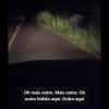 EM CASTILHO PERIGO NA ESTRADA: BÚFALOS SOLTOS COLOCAM VIDAS DE MOTORISTAS EM RISCO