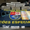 8º BAEP DE PRESIDENTE PRUDENTE LOCALIZA TIJOLOS DE MACONHA EM ABORDAGEM A VEÍCULO E TRIO É PRESO EM FLAGRANTE