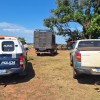 Em Três Lagoas Batalhão de Polícia Militar Rural intercepta gado sendo transportado sem documentação