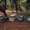 Exposição reabre zoológico e deverá ter até 300 carros antigos em Araçatuba