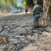 Proprietário rural de Castilho “LIMPA” quintal com fogo e é multado pela Polícia Ambiental em quase R$ 4.5 MIL