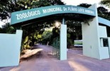 Projeto prevê transformar Zoológico de Araçatuba em parque e manter os animais Projeto prevê transformar Zoológico de Araçatuba em parque e manter os animais