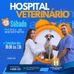 Hospital Veterinário passa a atender aos sábados em Andradina