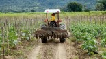 Câmara de Andradina aprova pedido de reajuste para serviços de mecanização agrícola