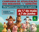 Sindicato Rural de Andradina orienta produtores a atualizarem seus rebanhos até 7 de junho