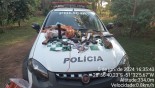 Polícia Ambiental de Castilho flagra homem por posse ilegal de arma de fogo e carne da fauna silvestre