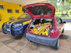 Polícia Rodoviária Federal de Três Lagoas apreende 242 Kg de maconha na rodovia BR 262