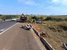Motorista de Murutinga do Sul morre ao tentar desviar de vacas e capotar na rodovia BR 262 em Campo Grande