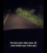 EM CASTILHO PERIGO NA ESTRADA: BÚFALOS SOLTOS COLOCAM VIDAS DE MOTORISTAS EM RISCO