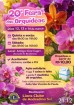Lions Clube Andradina Sul realiza sua 20ª Feira de Orquídeas com ação solidária em prol do Asilo Lions Clube Andradina Sul realiza sua 20ª Feira de Orquídeas com ação solidária em prol do Asilo