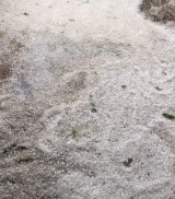 Monte Castelo e Santa Mercedes são atingidas por temporal que destelha casas e derruba árvores