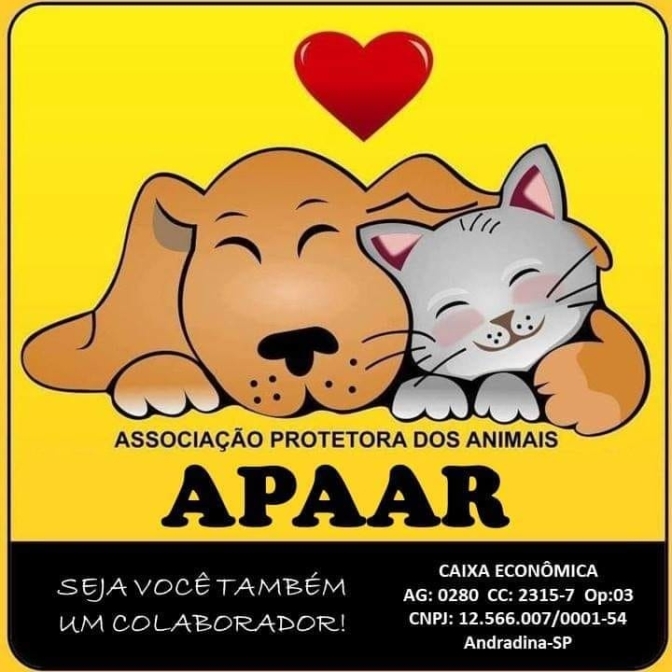 Associação Protetora dos Animais de Andradina e Região é selecionada para parceria