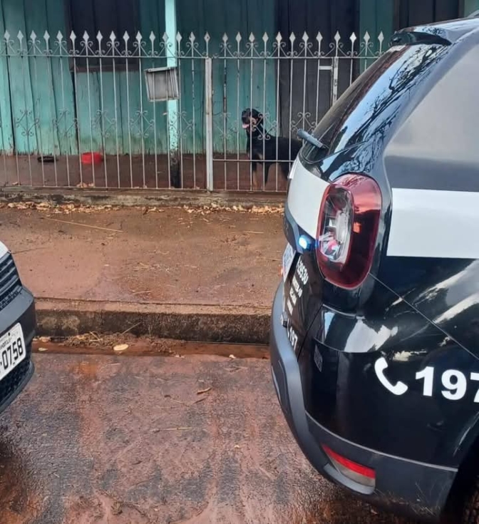 Polícia Civil de Mirandópolis recebe denúncia de maus tratos aos animais