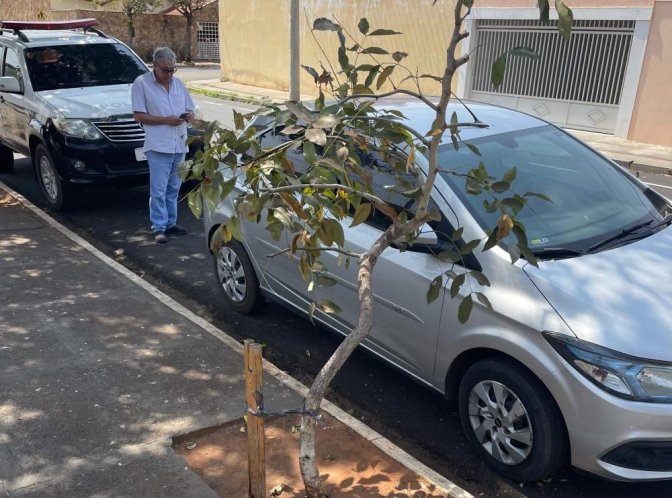 1º DP de Araçatuba recupera veículo furtado e identifica adolescente como suspeito de múltiplos crimes