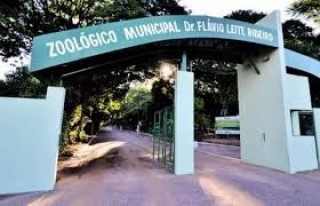 Polícia Civil vai investigar morte de Ema encontrada sem a cabeça no zoológico de Araçatuba