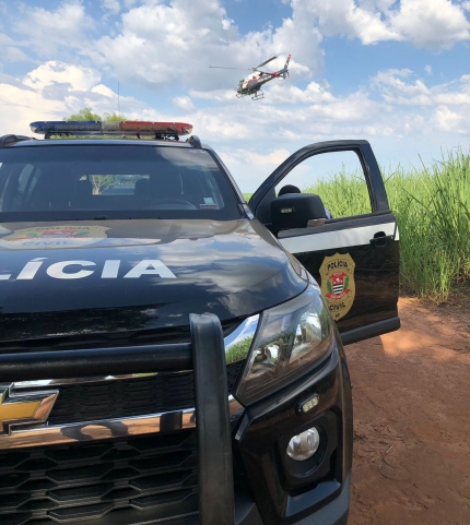 Gado furtado em Sud Mennucci é localizado pela Polícia Civil em Araçatuba