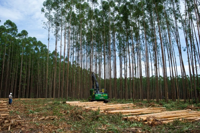 Eldorado Brasil realiza feirão de emprego nas cidades de Selvíria e Água Clara