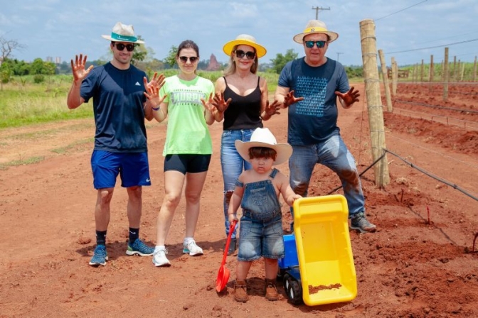 Descubra a Vinícola Terroir Cinco Elos: Excelência em Vinhos de Alta Qualidade em Andradina