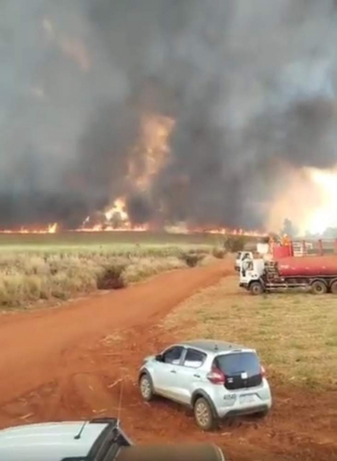 Incêndios voltam a consumir áreas na região de Andradina