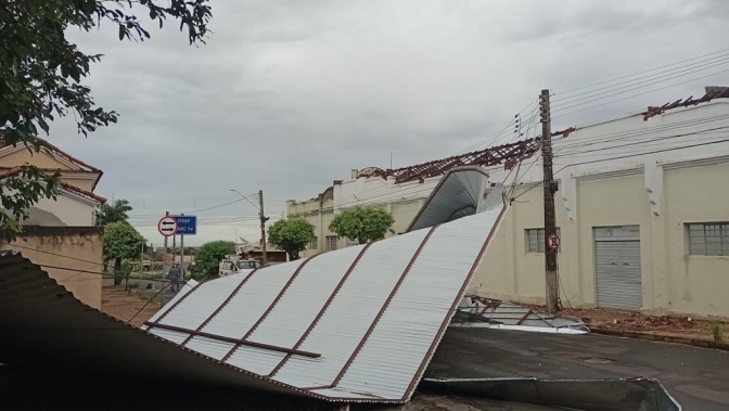 40 árvores foram derrubadas com temporal que atingiu Andradina