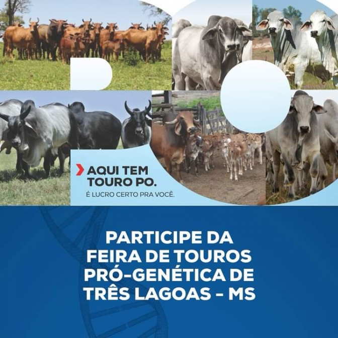 Feira de Touros será organizada pelo Sindicato Rural de Três Lagoas